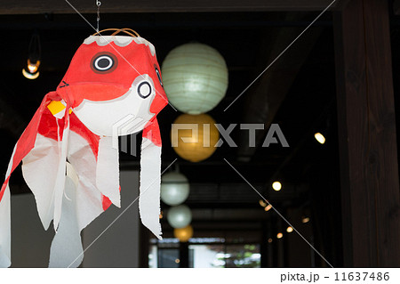 柳井白壁の町と金魚ちょうちん 柳井白壁の町と金魚ちょうちん 11637486