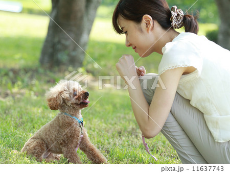 愛犬と若い女性 愛犬と若い女性 11637743
