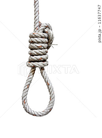 Rope And Knot 11637747