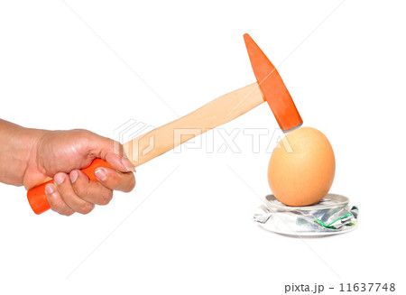 hitting an egg 11637748