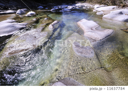 冷水清流 11637784