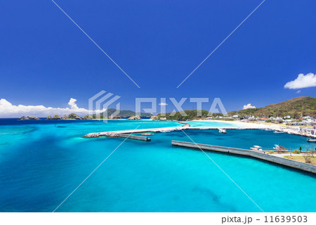 沖縄の海・阿嘉島 沖縄の海・阿嘉島 11639503