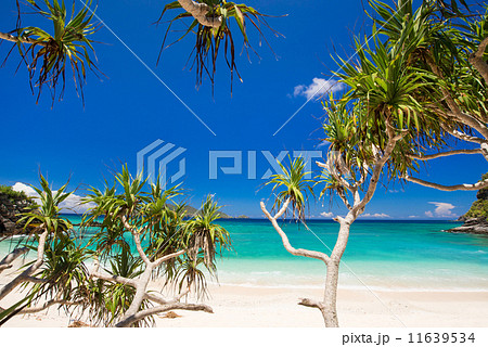 沖縄の海・阿嘉島−ヒズシビーチ 沖縄の海・阿嘉島−ヒズシビーチ 11639534
