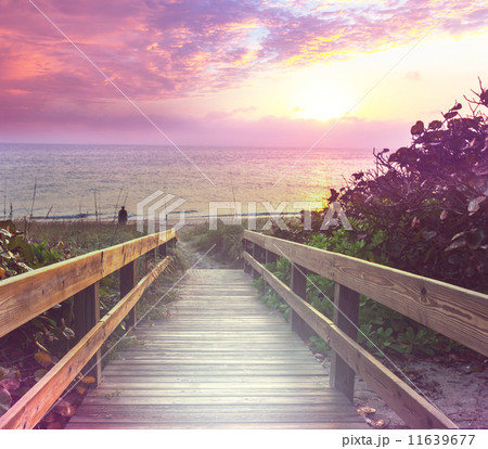 Boardwalk on beach 11639677