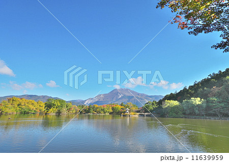 秋の三島池 秋の三島池 11639959