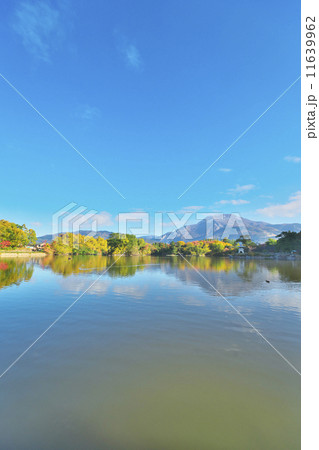 秋の三島池 11639962