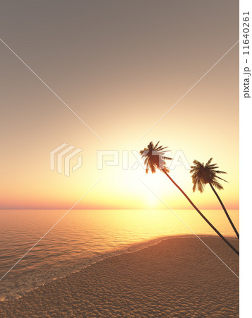 ココヤシと夕日 11640261