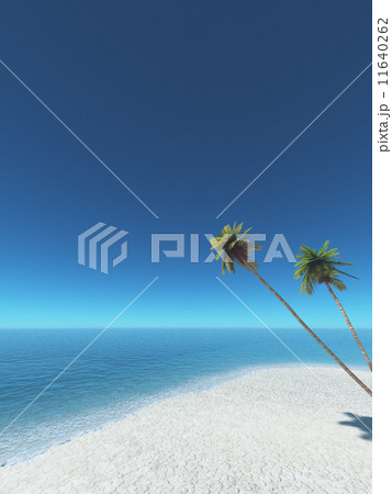 ビーチとココヤシ 11640262
