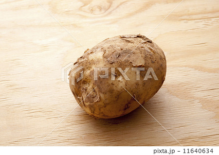 じゃがいも 11640634