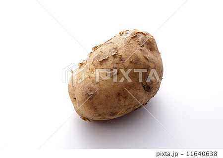 じゃがいも じゃがいも 11640638