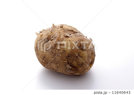 じゃがいも 11640643