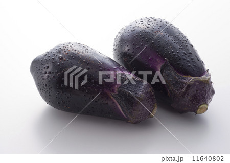 水茄子 11640802