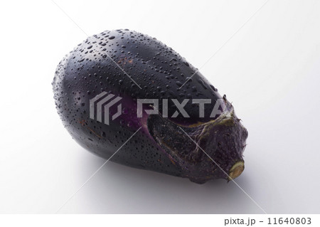 水茄子 11640803