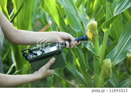 Measuring radiation Measuring radiation 11641012
