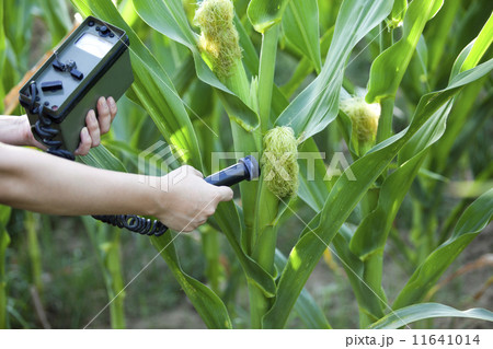 Measuring radiation  Measuring radiation  11641014