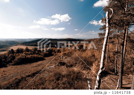 small village 11641738