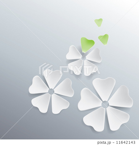 clover flower 11642143