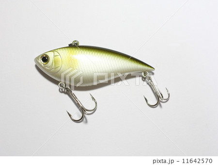 疑似餌 疑似餌 11642570