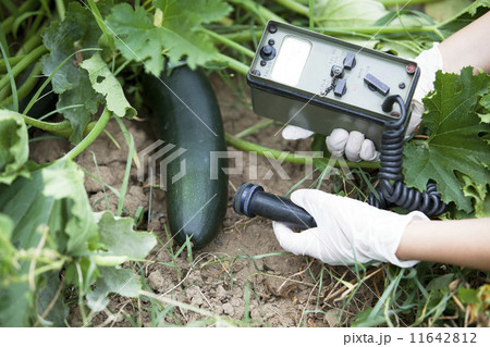 Measuring radiation Measuring radiation 11642812