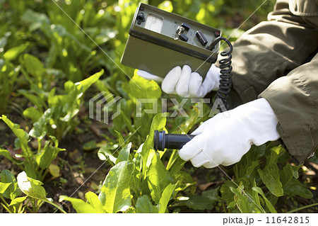 Measuring radiation 11642815