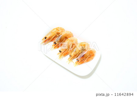 酒肴甘海老 11642894