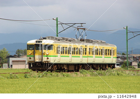 弥彦線115系電車（ワンマン-2両：東三条⇔吉田-弥彦） 11642948