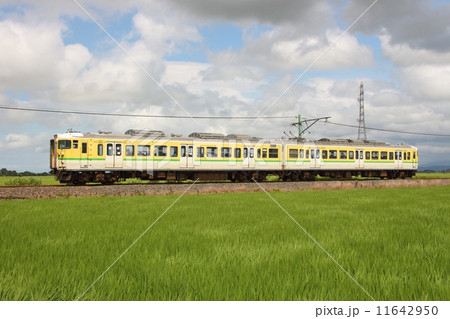 弥彦線115系電車（ワンマン-2両：東三条⇔吉田-弥彦） 11642950