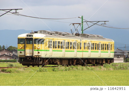 弥彦線115系電車（ワンマン-2両：東三条⇔吉田-弥彦） 11642951