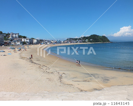 篠島の海岸 11643145