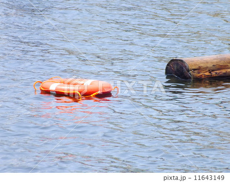 貯木場の浮き輪 貯木場の浮き輪 11643149