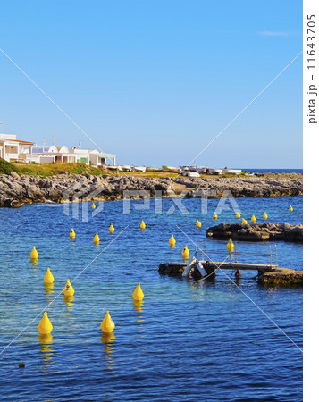Yellow Buoys 11643705