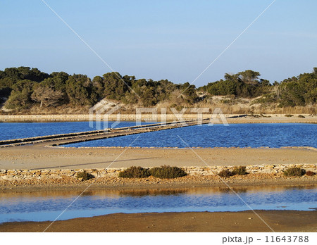 Ses Salines, Formentera 11643788