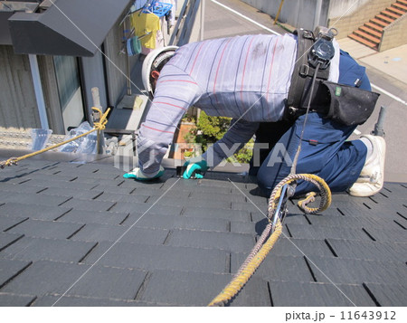 屋根補修工事 屋根補修工事 11643912