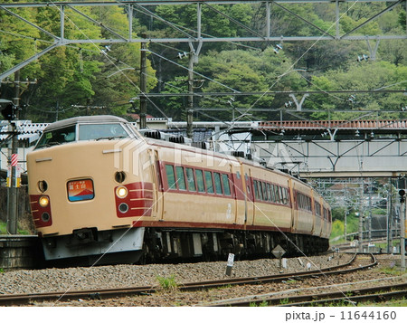 ホリデー快速　富士山号　国鉄183系 11644160