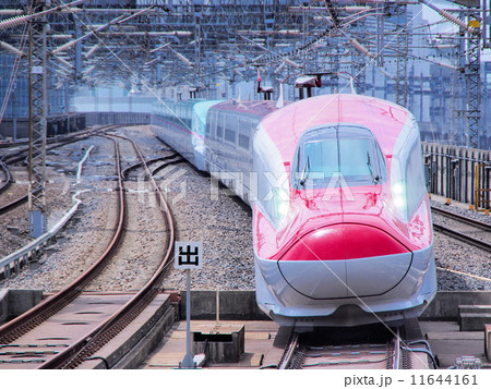 こまち 新幹線×こまち号×17両編成の写真素材 [11644161] - PIXTA