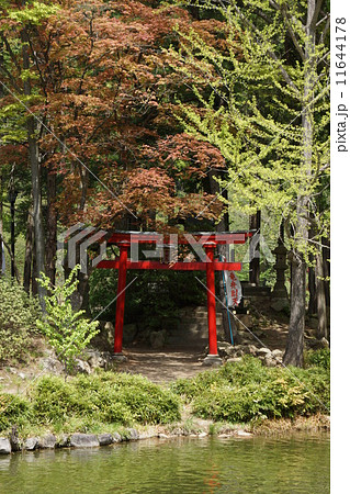 臥竜公園 臥竜公園 11644178