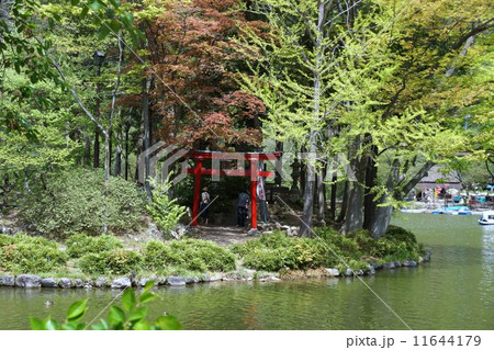 臥竜公園 臥竜公園 11644179
