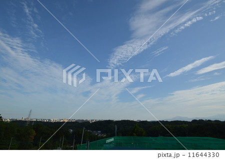 8月の多摩丘陵 都立長沼公園 八王子市 8月の多摩丘陵 都立長沼公園 八王子市 11644330