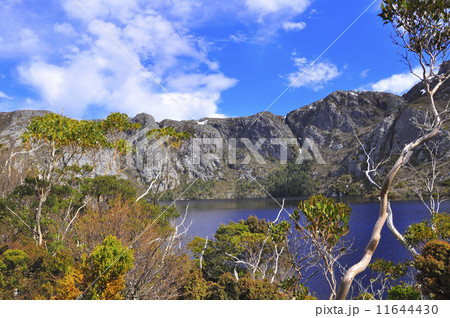 クレイドルマウンテン　タスマニア　オーストラリア 11644430