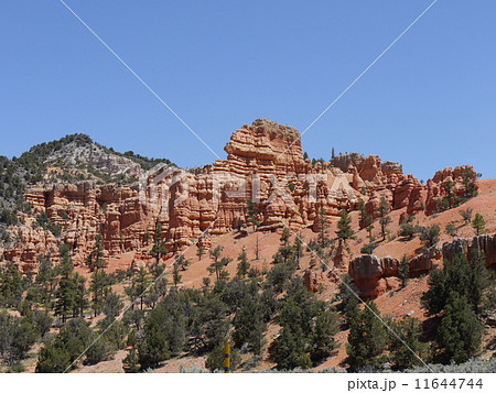 レッドキャニオン 11644744