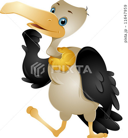 Cute Vulture 11647959