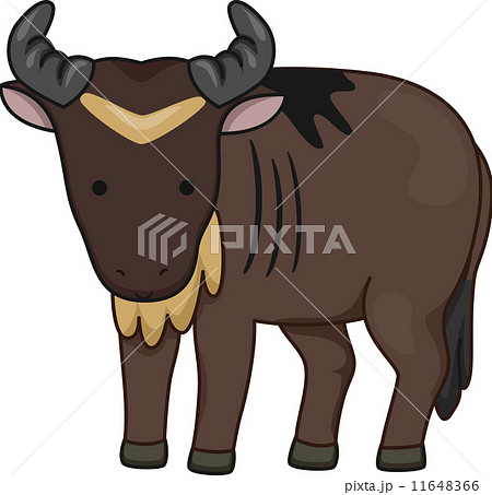 Wildebeestのイラスト素材