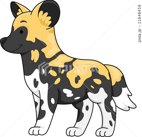 African Wild Dog African Wild Dog 11648459