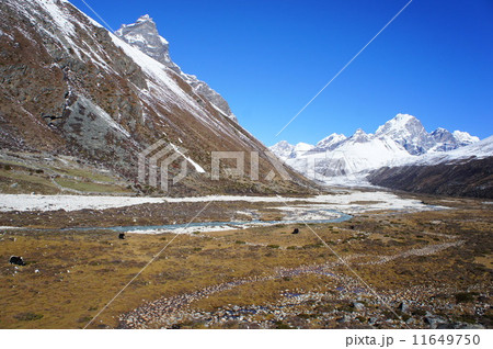 ヒマラヤの風景 11649750