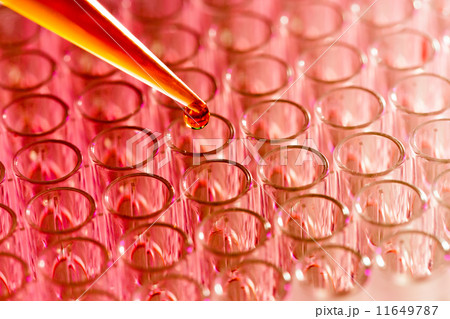 Pipette load samples 11649787