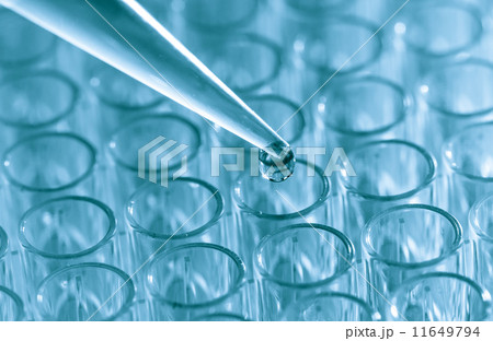 Pipette load samples Pipette load samples 11649794