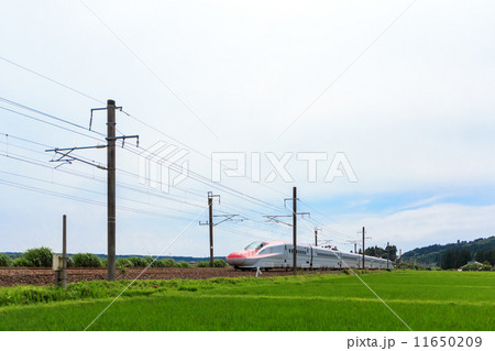 秋田新幹線こまち 11650209