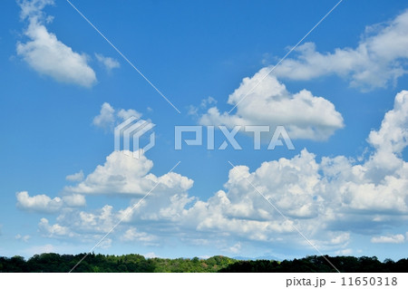 真っ青な夏空と白い雲 11650318