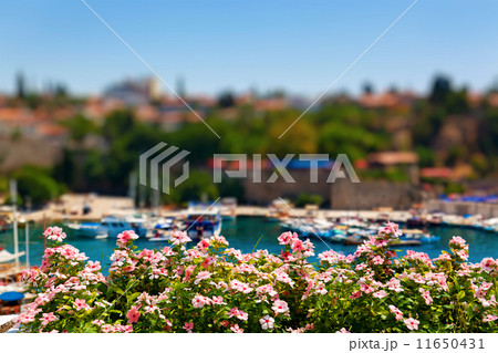 Old harbour in Antalya, Turkey Old harbour in Antalya, Turkey 11650431