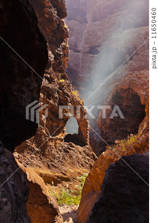 Famous canyon Masca at Tenerife - Canary 11650460
